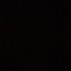 Meet your Posher, Fong fong